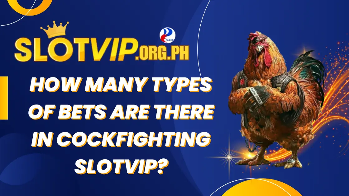 cockfighting slotvip 05