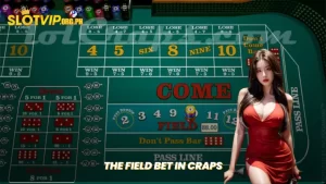 Understanding the Field Bet in Craps