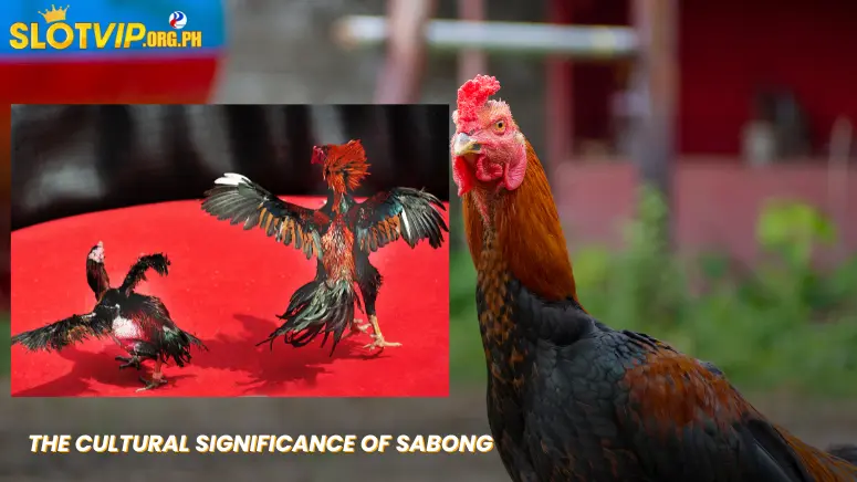 The Cultural Significance of Sabong